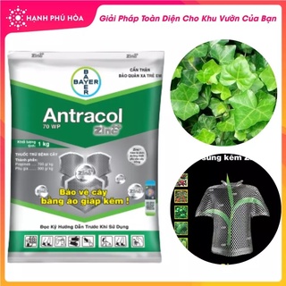 Thuốc diệt nấm bệnh ANTRACOL 70WP-100g - chứa kẽm tinh khiết cho cây giúp lá xanh khỏe, thẳng đứng và sạch bệnh