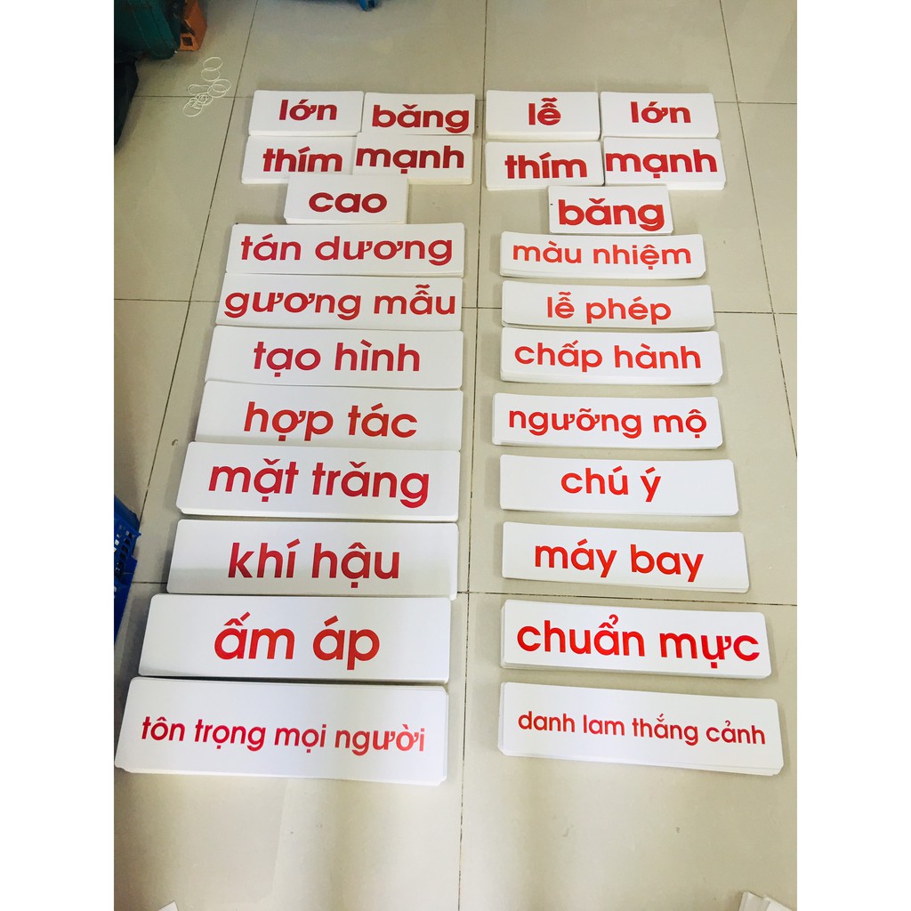 Flashcard bộ chữ các từ giống bộ nhập tâm của cửa sổ vàng flashcard từ đơn từ ghép cụm từ và câu