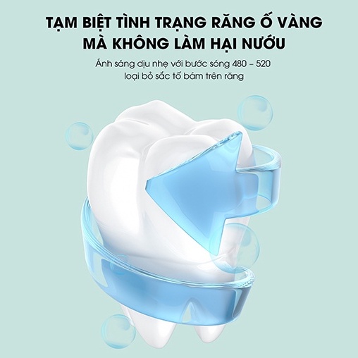 Máy Đánh Răng Điện Cho Người Lớn WK WTC01, Bàn Chải Đa Năng, Sạch Răng Miệng, Bảo Hành 6 Tháng