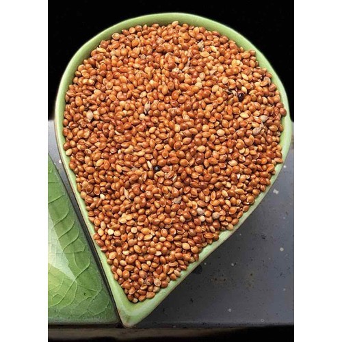 1kg KÊ ĐỎ TO cho chim vẹt yến phụng, lovebird, sắc nhật, manh manh, bảy màu, hamster...