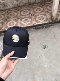 Mũ lưỡi trai hoa cúc