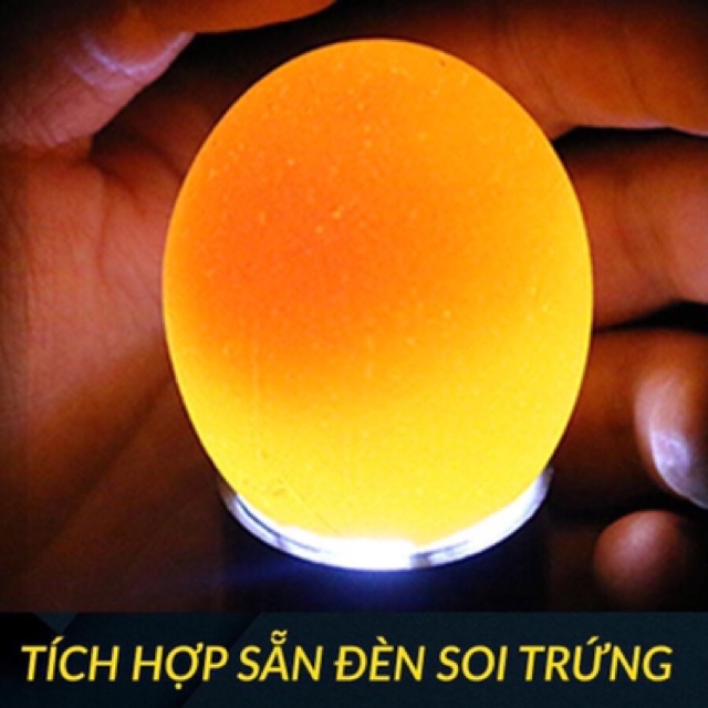 Đèn soi trứng - Đèn pin LED siêu sáng có mũ đèn để kiểm tra trứng gia cầm