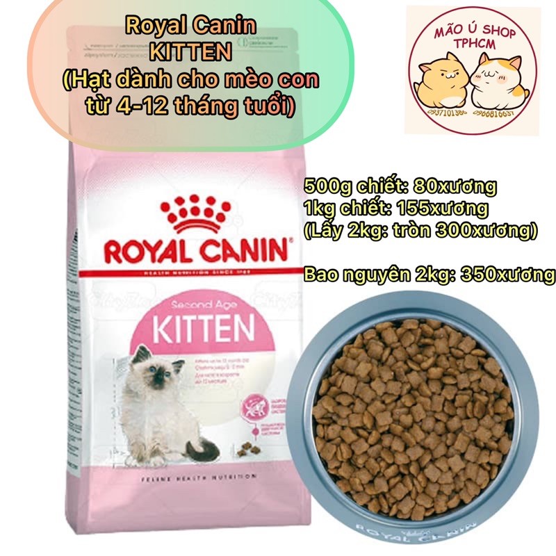 ROYAL CANIN KITTEN 36 - HẠT ĂN CHO MÈO CON TỪ 4-12 THÁNG (TÚI ZIP 500G-1KG)