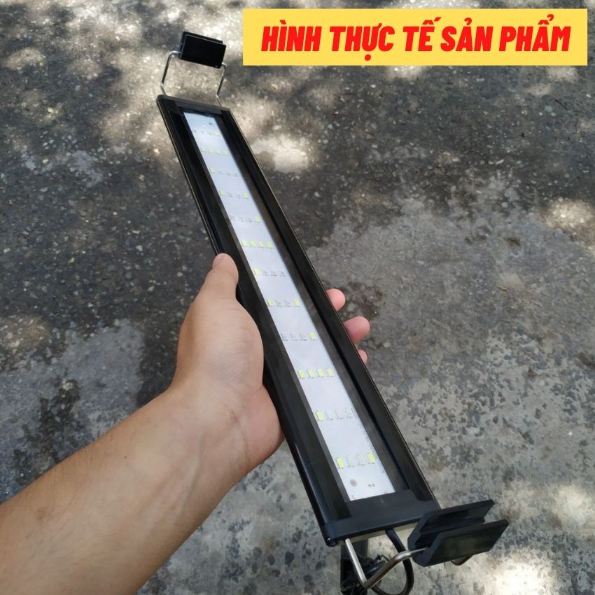 Đèn hồ cá ĐỔI MÀU 3 chế độ sáng cho bể cá cảnh, hồ cá thủy sinh từ 2090cm