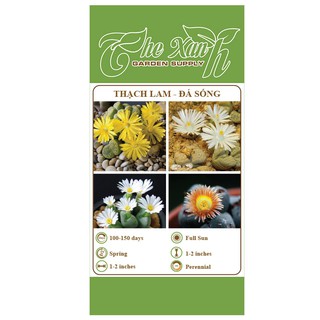 Hạt giống thạch lam The Xanh Garden Supply