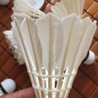Cầu Lông Lucky xanh