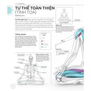 Sách - Khoa học về Yoga (Bìa cứng) (Nhã Nam)