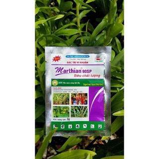 Thuốc marthian 90sp đặc trị thối nhũn