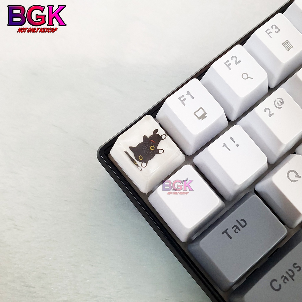 Keycap Lẻ Artisan OEM Profile Chủ Đề Những Chú Mèo Cute 1 ( cast resi, keycap resin độc lạ )