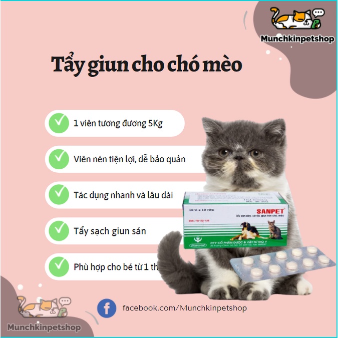 COMBO 1 viên chống giun sán cho chó mèo
