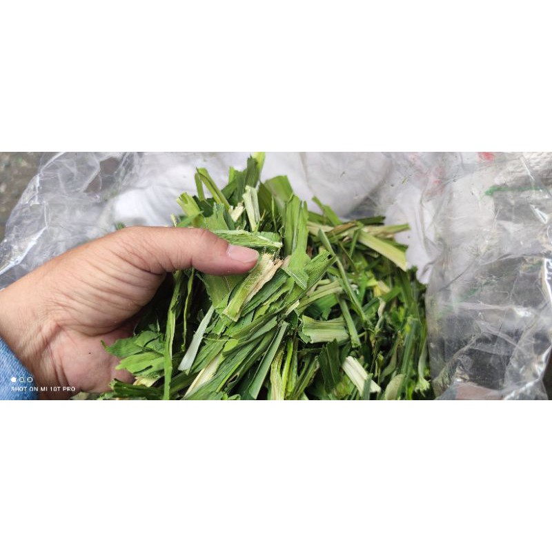 1kg lá dứa  sấy khô