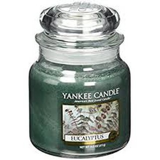 Nến hũ eucalyptus_nến thơm cao cấp yankee candle - tt2018