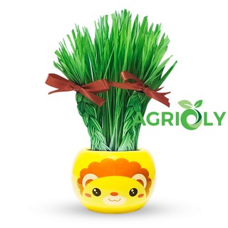 Bộ Cỏ Lúa Mì Tự Trồng Grass Kit Hình Sư Tử