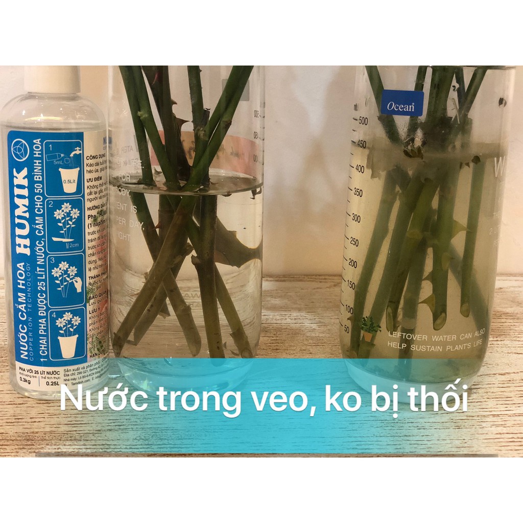 Combo 02 chai nước cắm hoa Humik công nghệ ion đồng 250ml