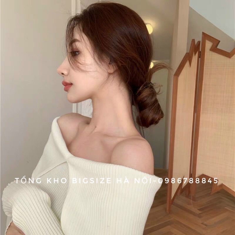 [A.M BIGSIZE ] Áo trễ vai Z.r cực xinh 50-85kg | BigBuy360 - bigbuy360.vn