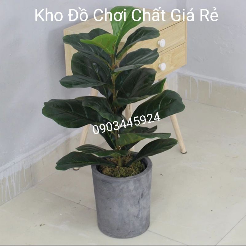 Cây bàng 1 nhánh lá bóng cao 58cm-Cây giả