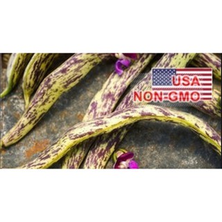 Hạt Giống Đậu Cove Bụi - Lưỡi Rồng Dragon (Phaseolus vulgaris)