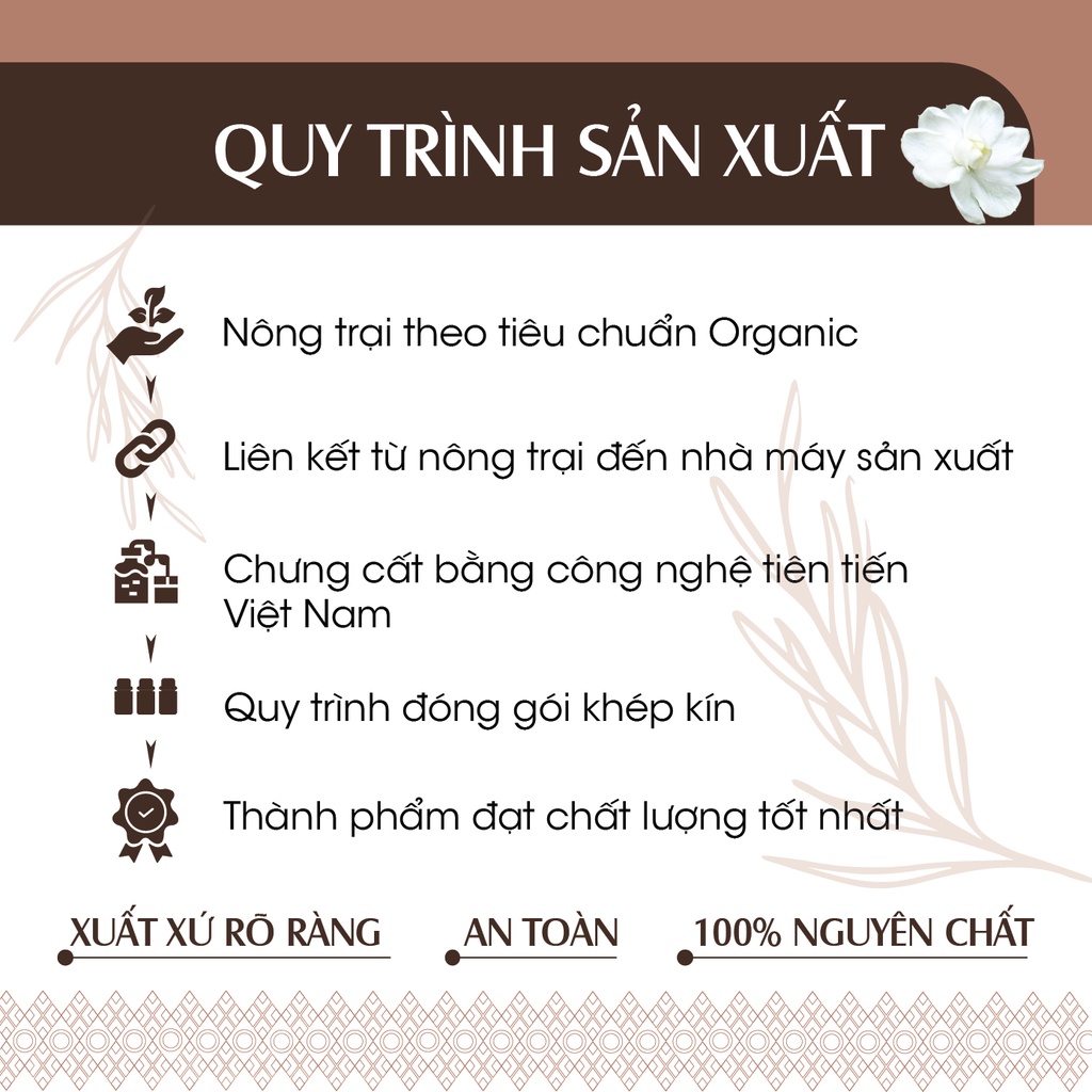 Tinh Dầu Quế 24Care dung tích 10ml/50ml/100ml/dạng treo 8ml - Tinh Dầu Xông Phòng, Khử Mùi, Đuổi Muỗi