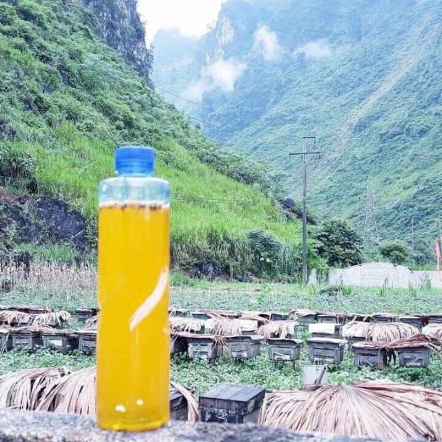 MẬT ONG BẠC HÀ HÀ GIANG