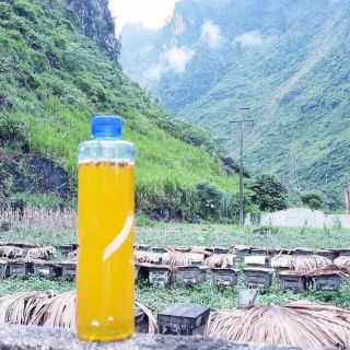 Mật ong bạc hà hà giang