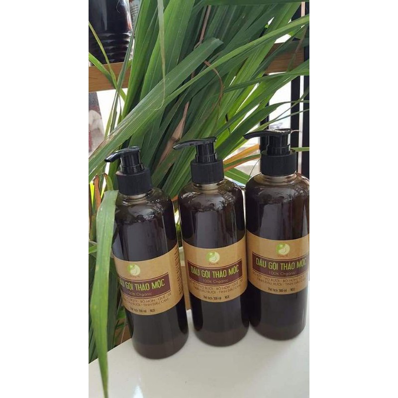 Dầu gội Thảo Mộc