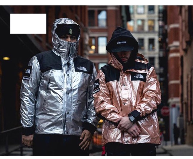 Jacket Supreme x The North Face Metallic Moutain Parka ss18