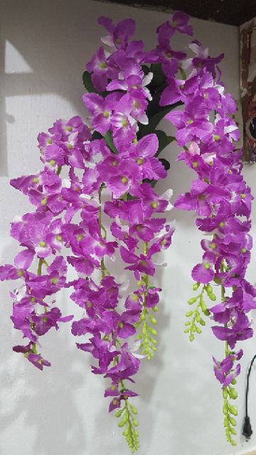 Giỏ hoa lan treo tường