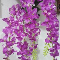 Giỏ hoa lan treo tường