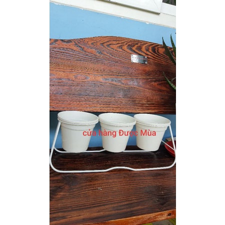 bộ khung + 3 chậu trồng cây trang trí.