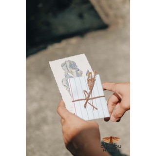 TÚI TICKET STICKER - mẫu C