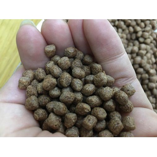 Cám cá koi giàu đạm tăng màu, thức ăn cho cá koi bịch zip to 500g, 1kg, 2 kg