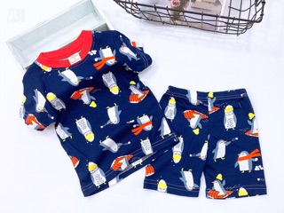 Sỉ đồ bozip bé trai