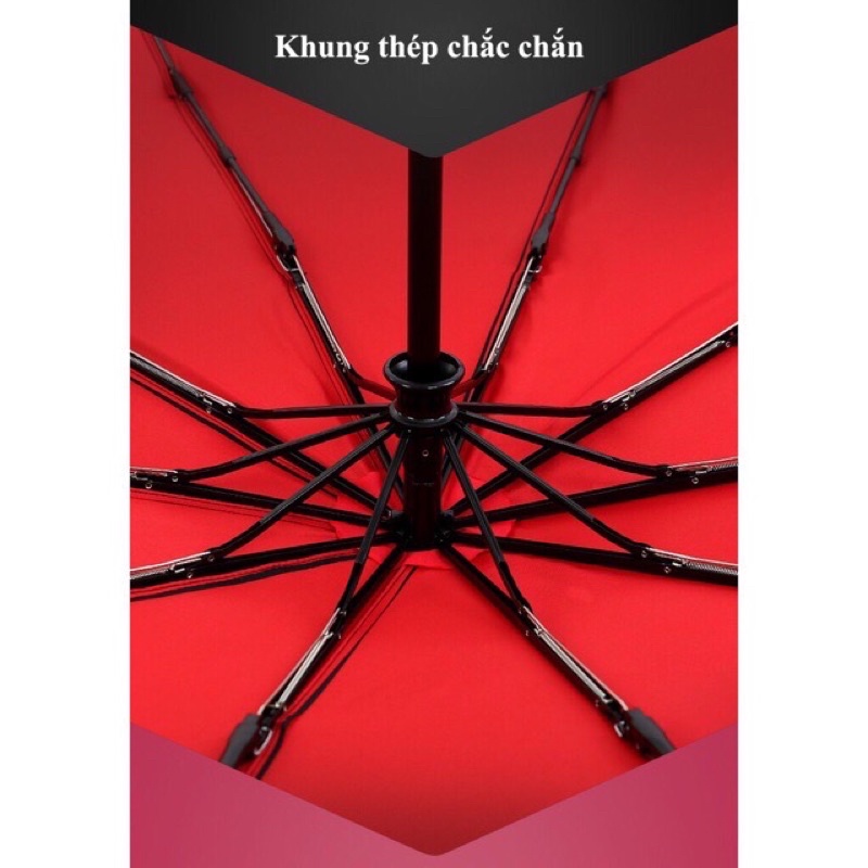 Ô Dù 10 Nan Size Lớn Đóng Mở Tự Động Bằng Nút Bấm Chống Tia UV - Ô Tự Động Cao Cấp Hàng Xuất Nhật
