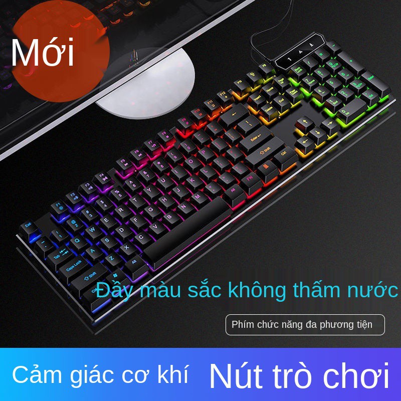 Bộ bàn phím và chuột có dây cảm giác cơ học E-sports chơi game Máy tính để xách tay đa năng chiếu sáng | BigBuy360 - bigbuy360.vn