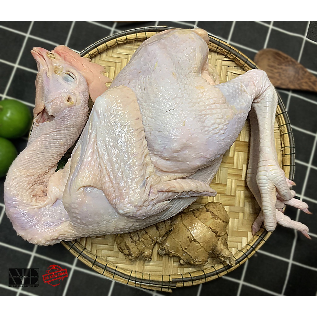 Gà Tam Hoàng nóng nguyên con | Sản xuất trong ngày