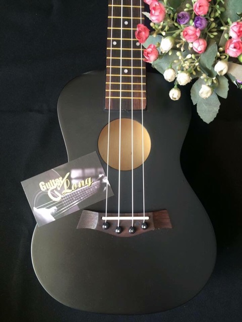 Đàn Ukulele màu trơn Concert giá chỉ 400k