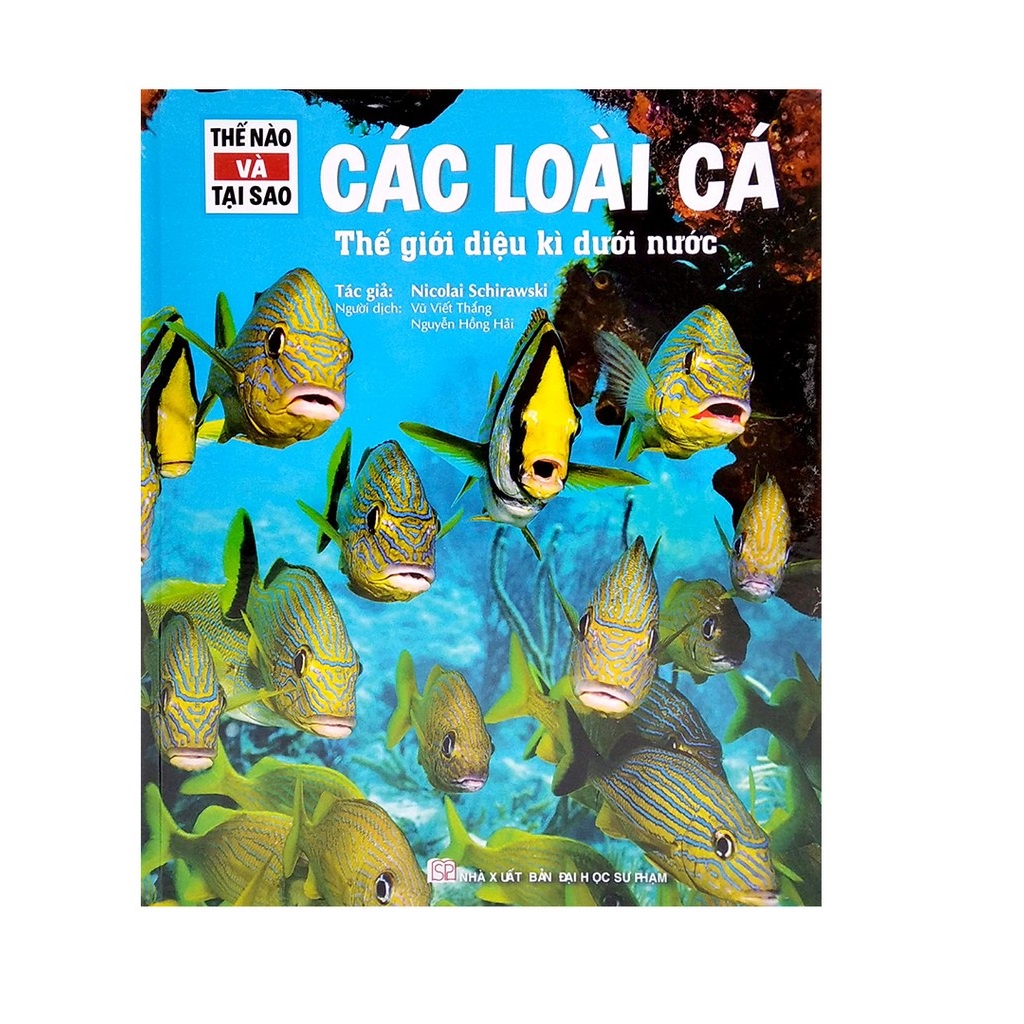 Sách - Thế Nào Và Tại Sao - Các Loài Cá - Thế Giới Diệu Kì Dưới Nước