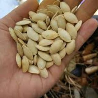 sỉ 5kg hạt bí ngô rang tãy