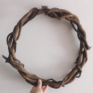 Dây Rừng Khô Trang Trí - Dây Leo Làm Cây - Vòng Hoa Treo Cửa.