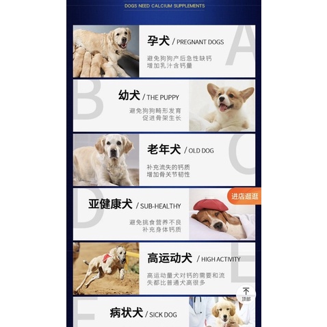 Canxi cho chó Borammy Canxi cho mèo phát triển răng và xương tốt cho chó mèo bầu BM01