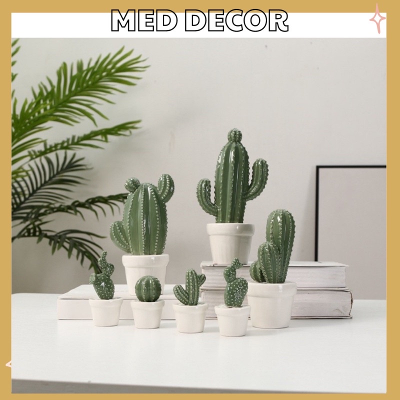 Xương Rồng Trang Trí Bằng Gốm 🌵  SẴN SIZE LỚN