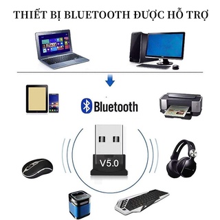 Máy Thu Bluetooth USB 5.0 Thu Bluetooth Truyền Bluetooth Máy Phát & Máy Thu Bộ Thu Phát Bluetooth