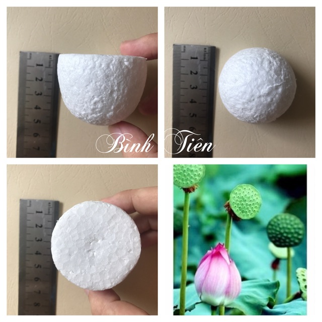 Xốp gương sen lớn