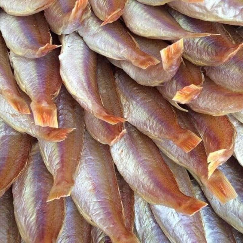 CÁ HỒNG PHÈN 1 NẮNG 500G