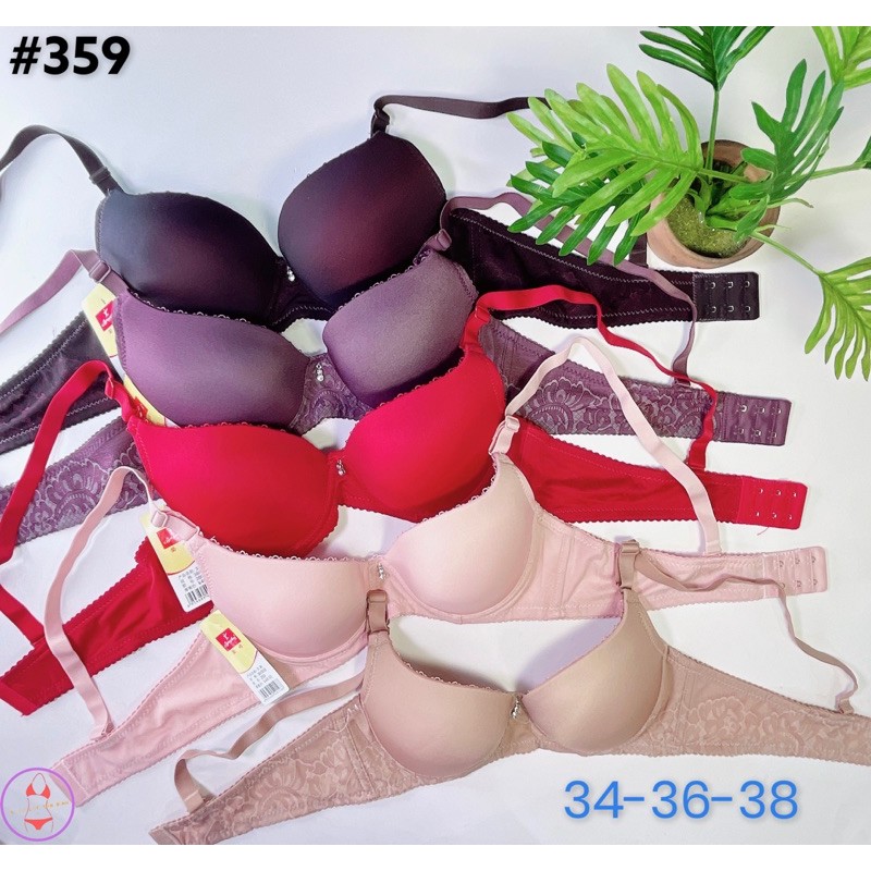 Áo ngực trơn mút vừa 3cm cài sau CUP B MS359