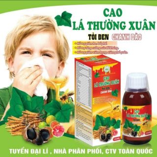 Cao lá thường xuân tỏi đen chanh đào mật ong