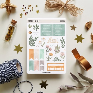 Weekly Kit - Bloom - Chuyên dán sổ | Bullet Journal Stickers, Flower Stickers, Spring Stickers, Pastel
