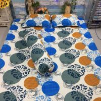 Combo 2 bộ Drap Thun Hàn Quốc