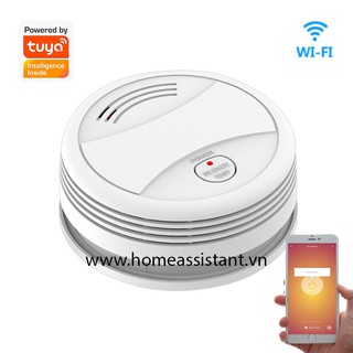 Cảm biến khói wifi tuya còi báo động hỏa hoạn w05