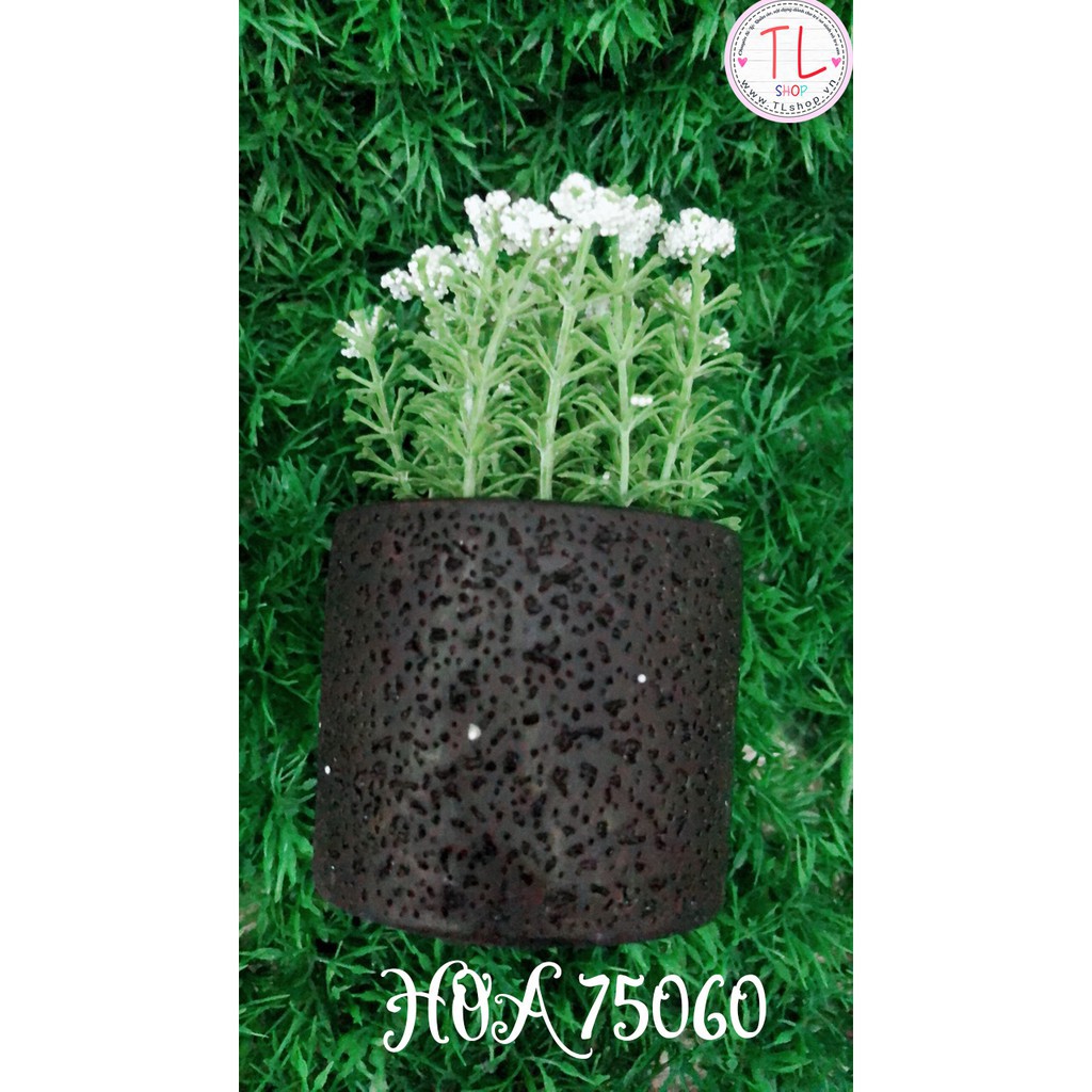 Chậu hoa bi trắng xinh xắn